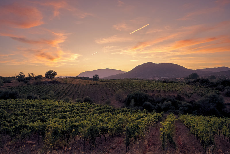 Fancourt & Cape Town Golf & Wine